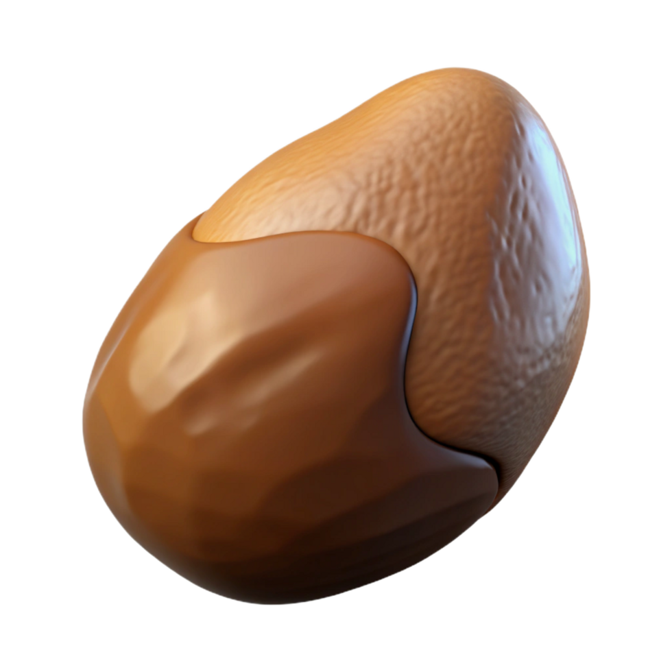 spectacular intense artistic Brazil nut isolated NO BACKGROUND with Transparent Background. high resolution png