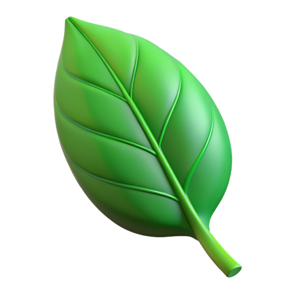 immaculate reflective renaissance Single green leaf NO BACKGROUND with Transparent Background. sharp png