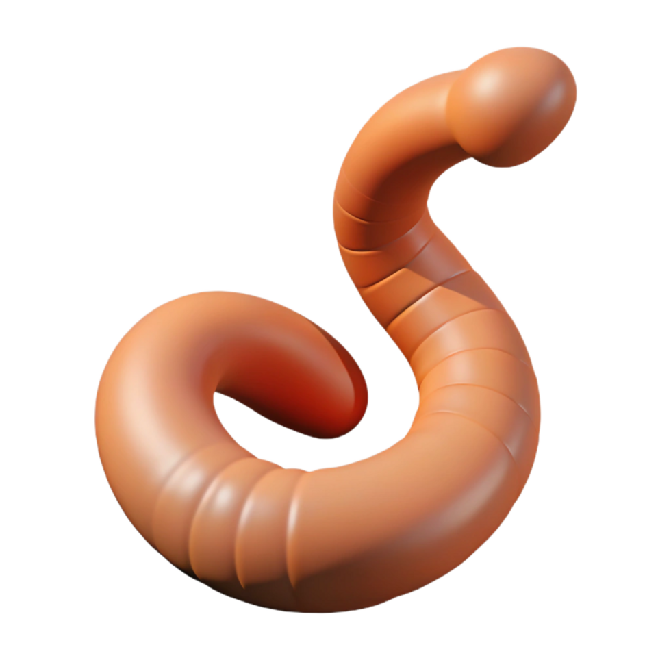 wonderful dramatic retro Earthworm NO BACKGROUND with Transparent Background. artisan png