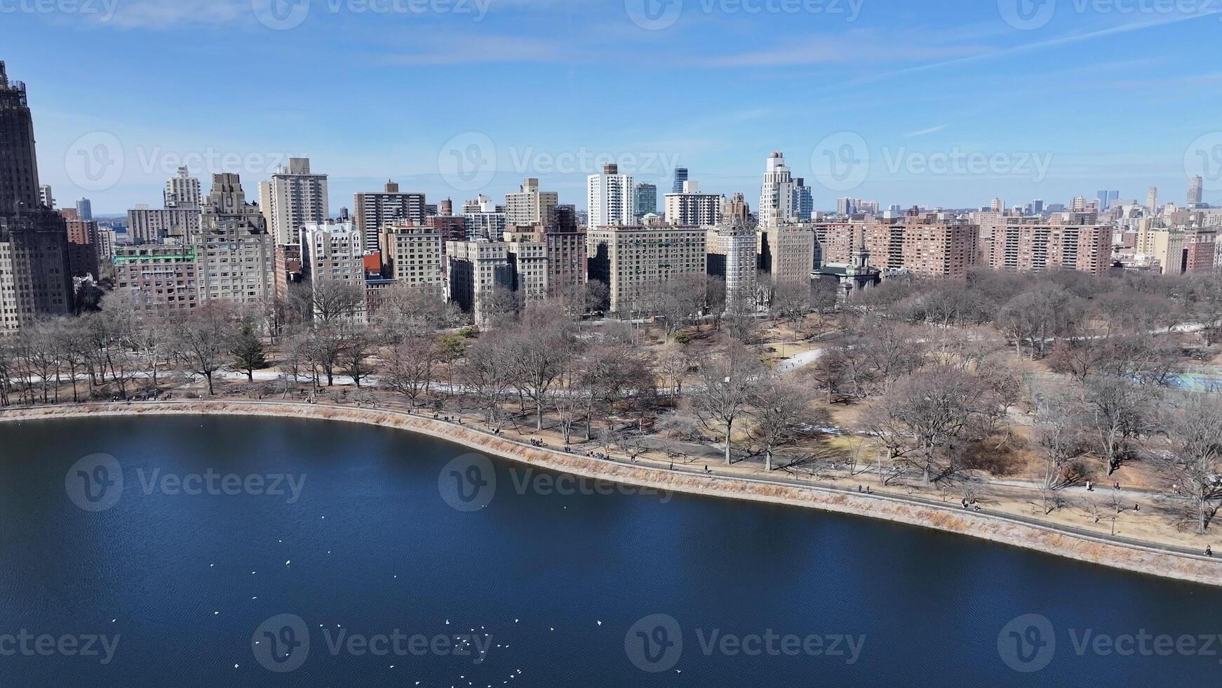 Awesome Central Park in Manhattan New York United States . Nature Cityscape. photo