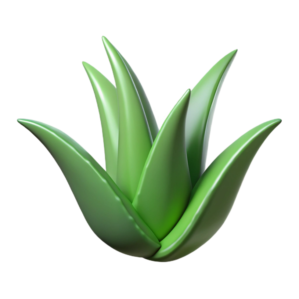 vibrant contemporary Aloe vera plant, single leaf NO BACKGROUND with Transparent Background. masterfully captured png