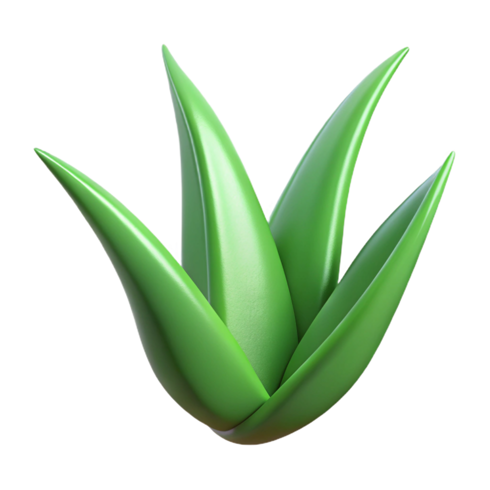 inspired geometric Aloe vera plant, single leaf NO BACKGROUND with Transparent Background. 4K png