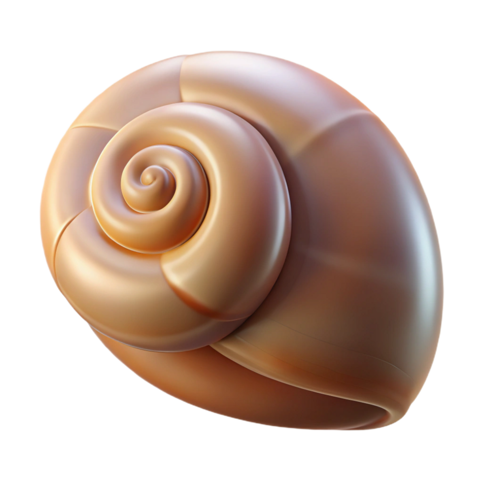 romantic pristine Snail shell, empty NO BACKGROUND with Transparent Background. genuine png