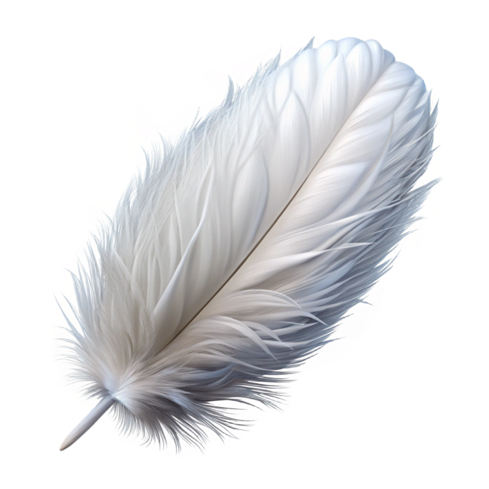 pristine acclaimed Feather, white, fluffy NO BACKGROUND with Transparent Background. png