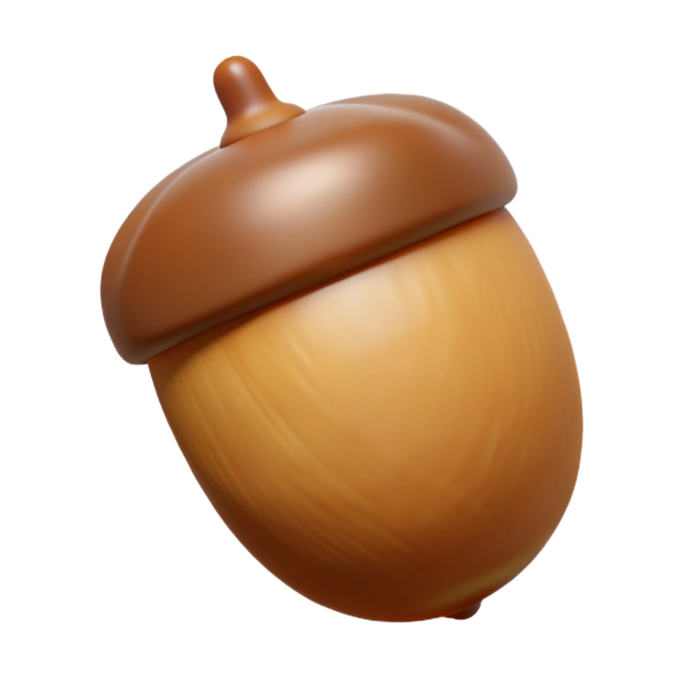 majestic peaceful artistic Single acorn, brown NO BACKGROUND with Transparent Background. precision png
