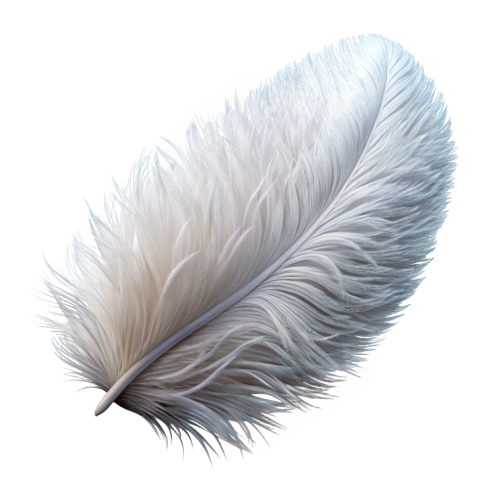 picturesque bold futuristic Feather, white, fluffy NO BACKGROUND with Transparent Background. original png