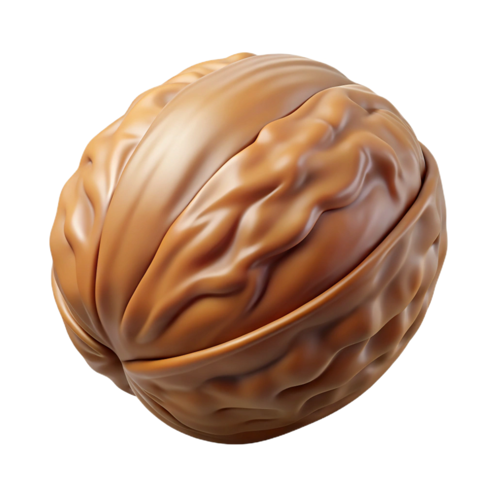 wonderful coastal Walnut in shell NO BACKGROUND with Transparent Background. sharp png