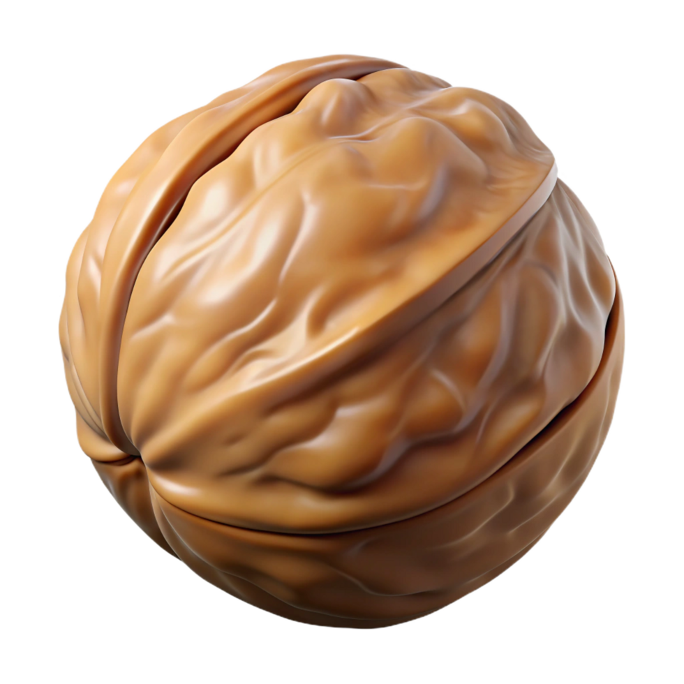 reflective glorious Walnut in shell NO BACKGROUND with Transparent Background. crisp png