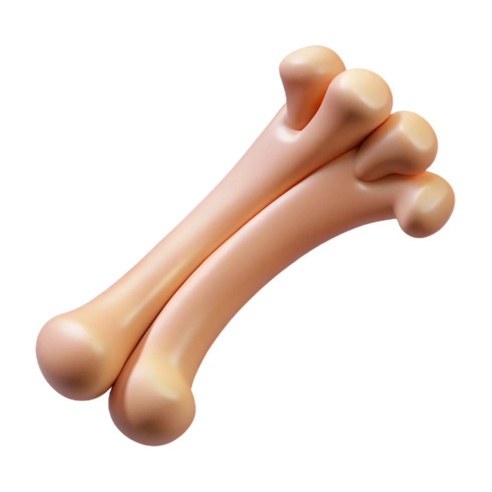 memorable bohemian Animal bone, rib NO BACKGROUND with Transparent Background. gallery standard png