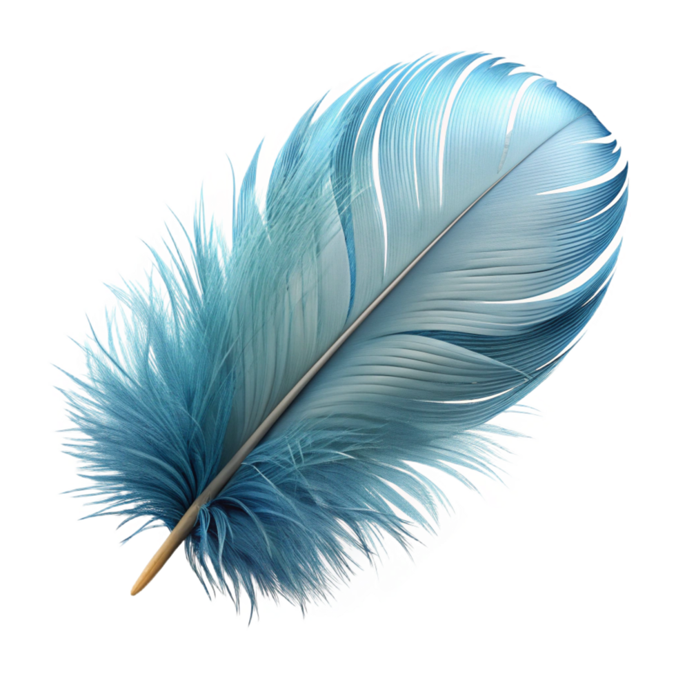 peaceful striking A floating, fluffy feather with delicate, feathery details. NO BACKGROUND with Transparent Background. artisan png
