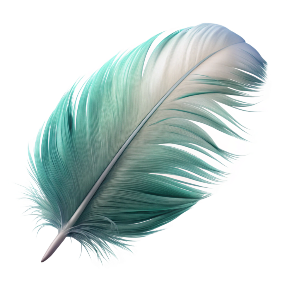 timeless impressionist A floating, fluffy feather with delicate, feathery details. NO BACKGROUND with Transparent Background. elite png