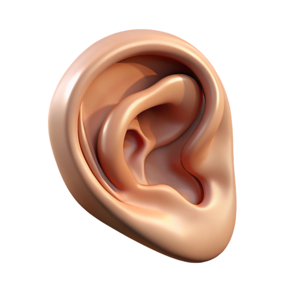wonderful baroque A single, realistic human ear. NO BACKGROUND with Transparent Background. elite png
