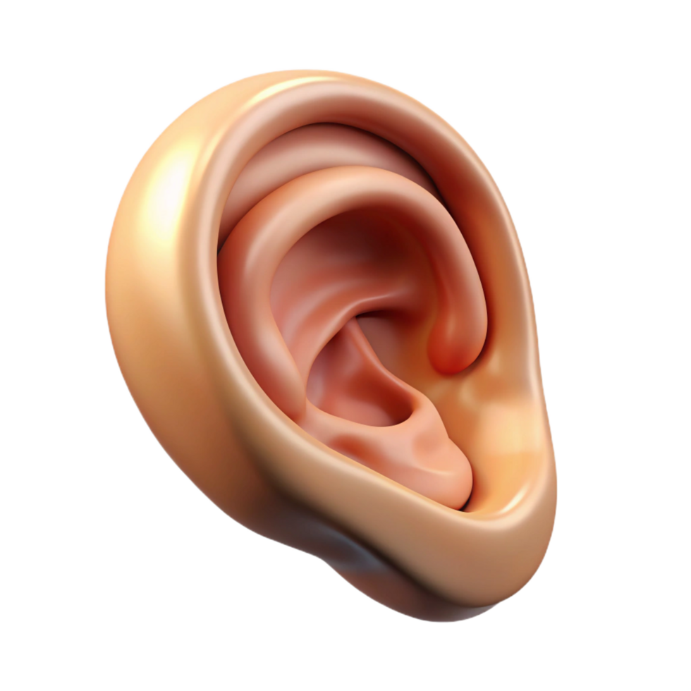 stunning dreamy art deco A single, realistic human ear. NO BACKGROUND with Transparent Background. 4K png