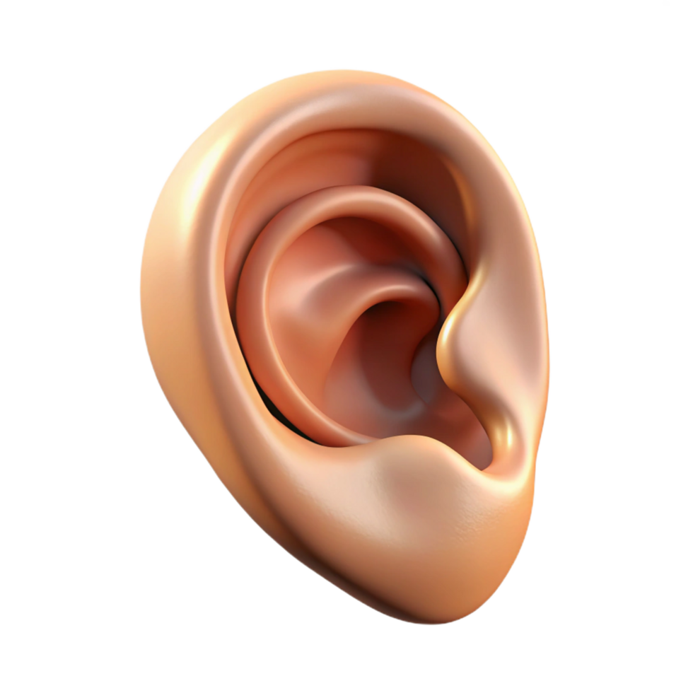 stunning retro A single, realistic human ear. NO BACKGROUND with Transparent Background. expertly shot png