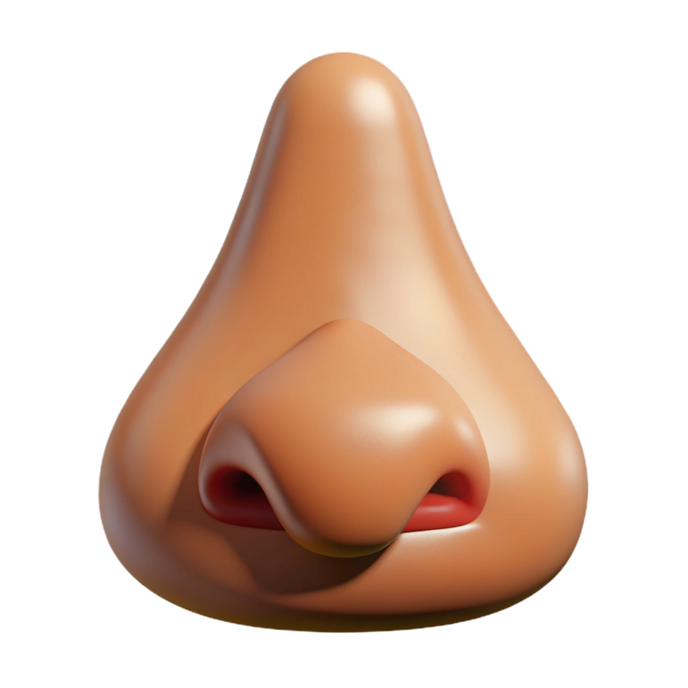 whimsical vibrant A single, realistic human nose. NO BACKGROUND with Transparent Background. museum quality png