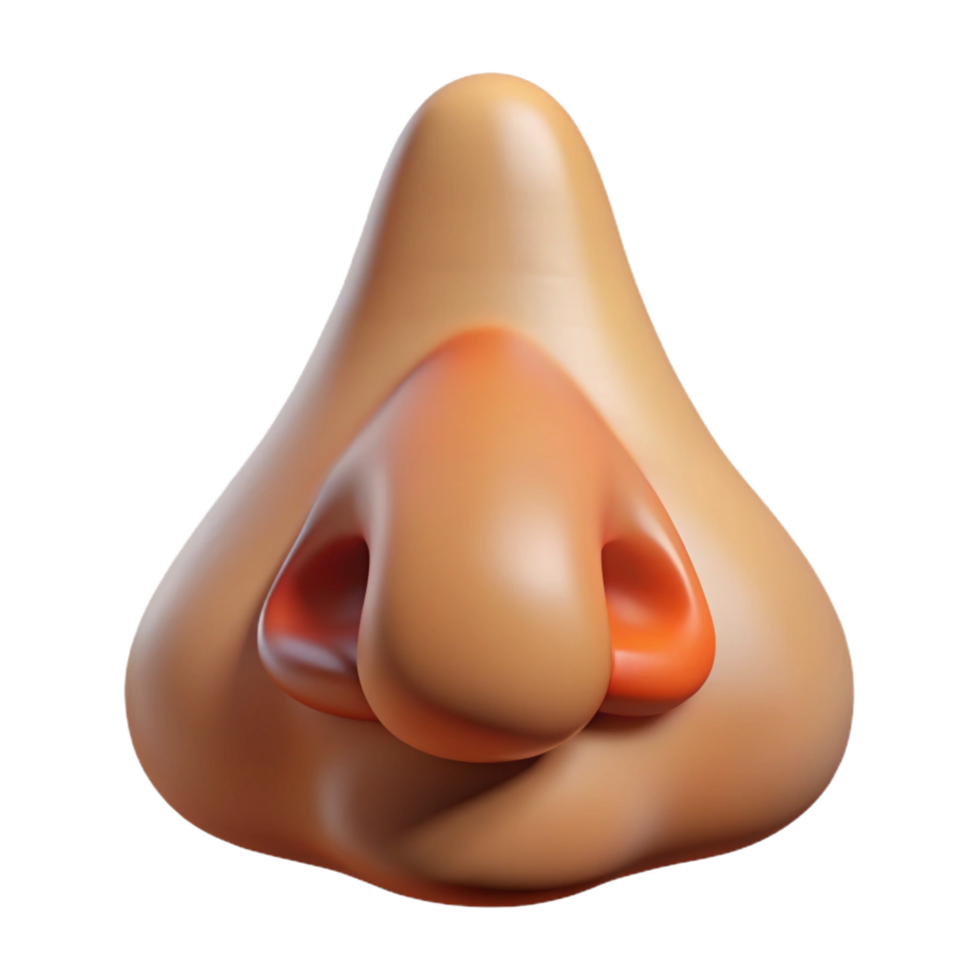 splendid sought-after A single, realistic human nose. NO BACKGROUND with Transparent Background. png