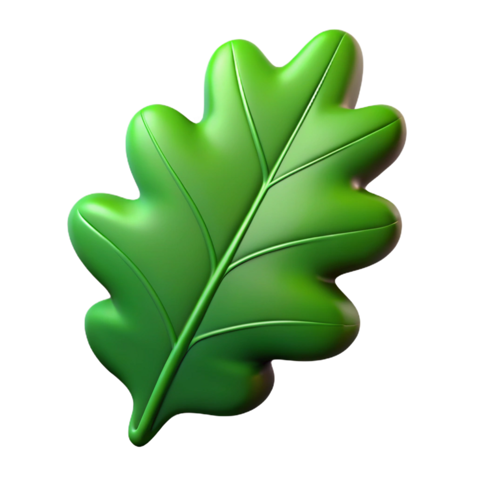 gorgeous distinctive Single green oak leaf NO BACKGROUND with Transparent Background. png