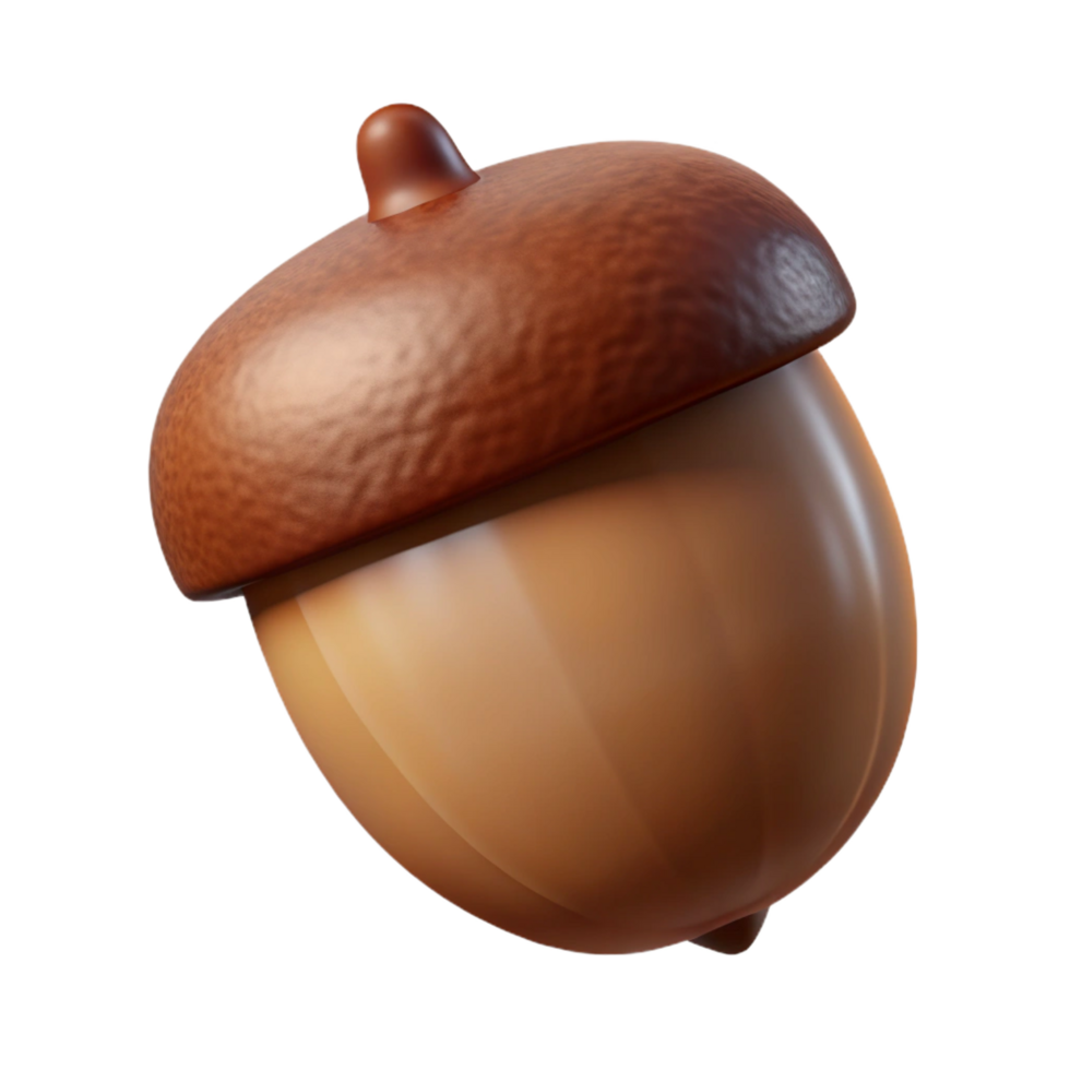 sought-after victorian Brown acorn with cap NO BACKGROUND with Transparent Background. flawless png