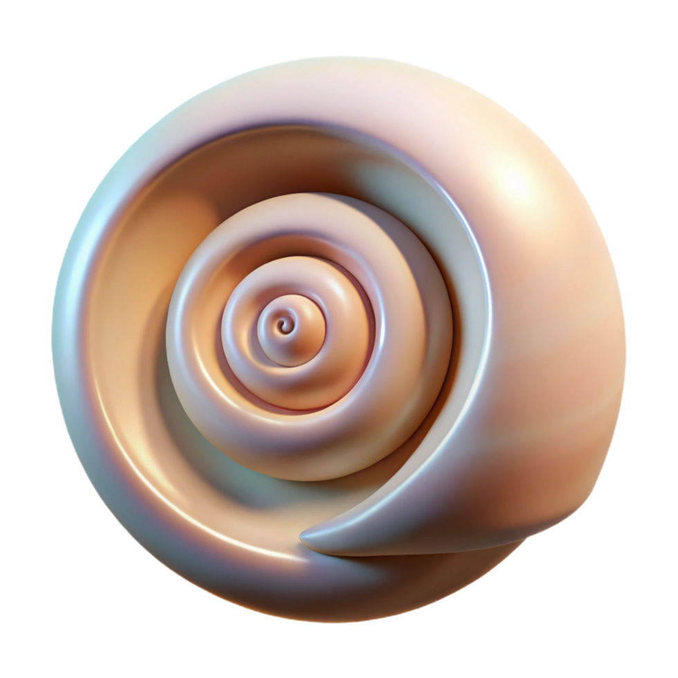 notable bohemian Seashell spiral NO BACKGROUND with Transparent Background. gallery standard png