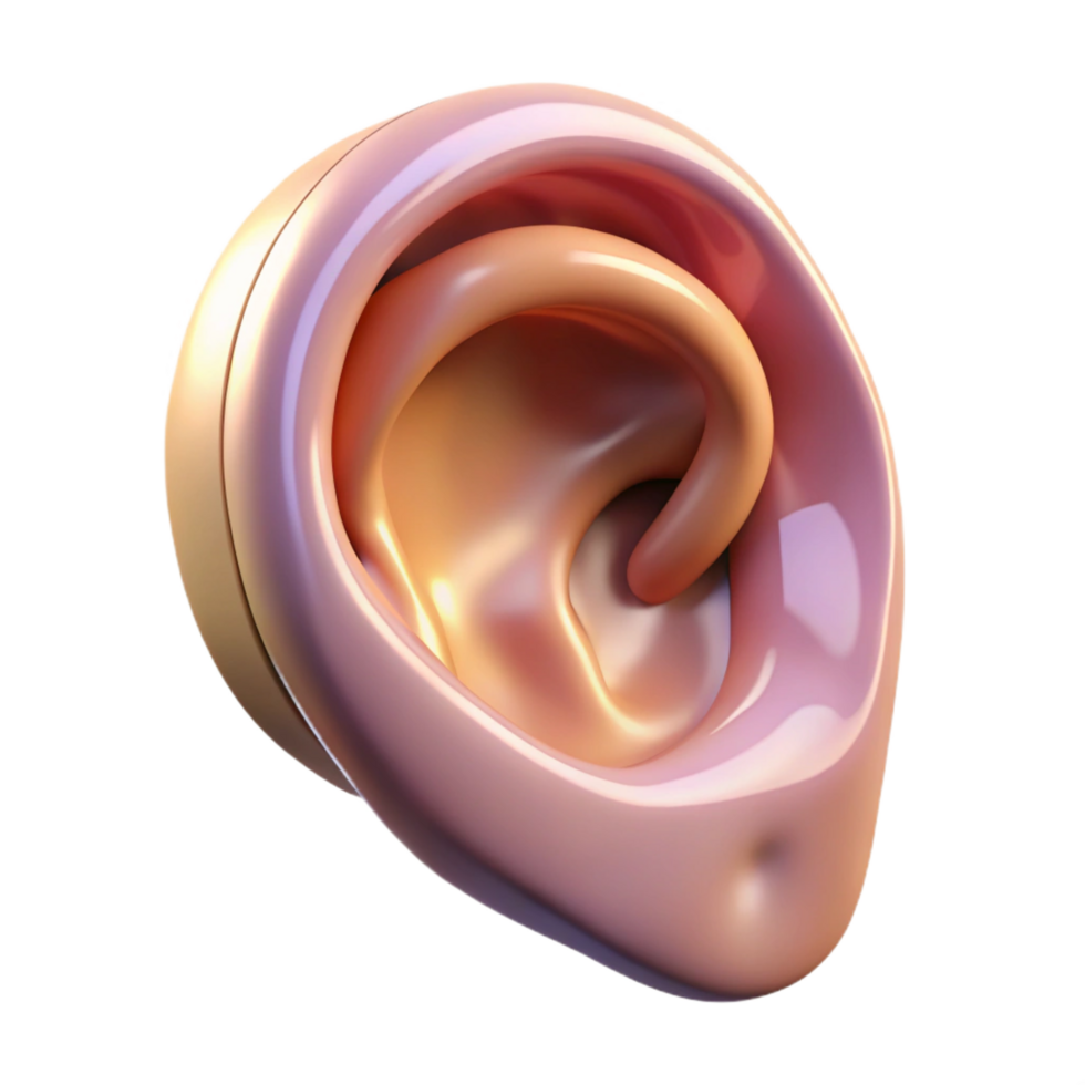 peaceful gorgeous Mammalian ear NO BACKGROUND with Transparent Background. artisan png