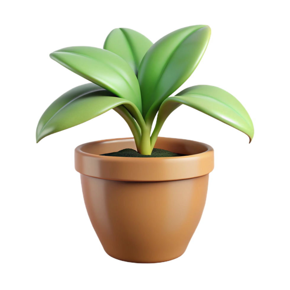 mysterious picturesque Houseplant in a pot, NO BACKGROUND with Transparent Background. gallery standard png