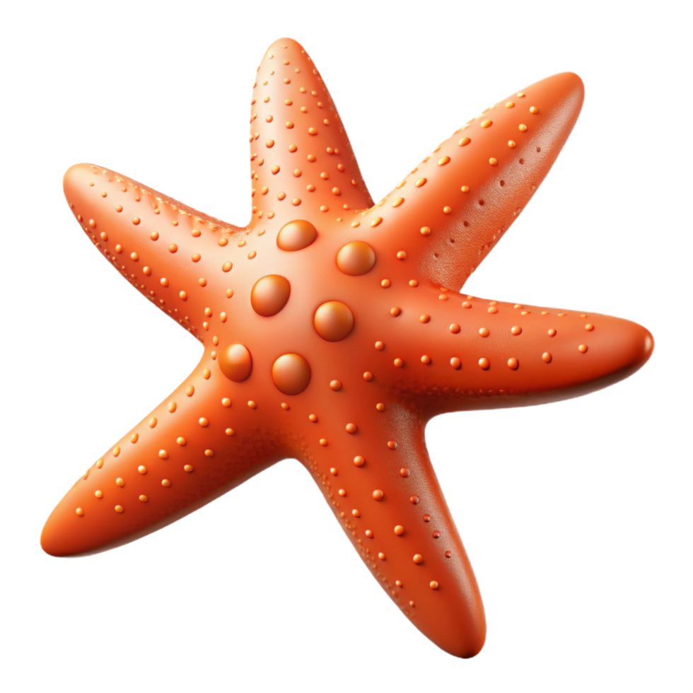 picturesque romantic geometric A starfish, five arms visible. NO BACKGROUND with Transparent Background. top-tier png