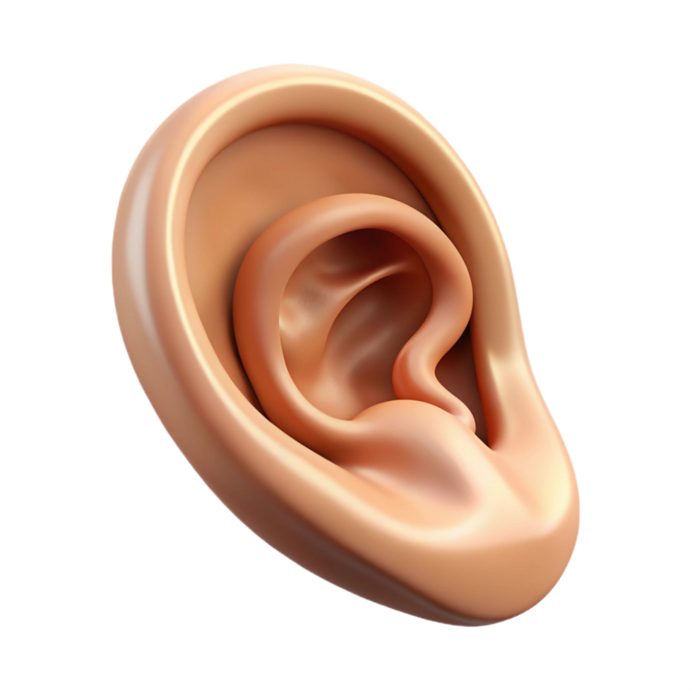 tranquil spectacular A single, detailed illustration of a human ear with pointed tip. NO BACKGROUND with Transparent Background. top-tier png