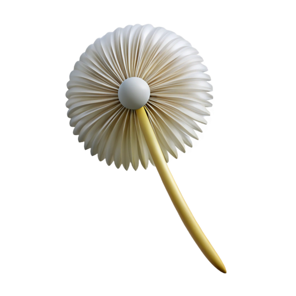 serene quintessential Single dandelion seedhead NO BACKGROUND with Transparent Background. png