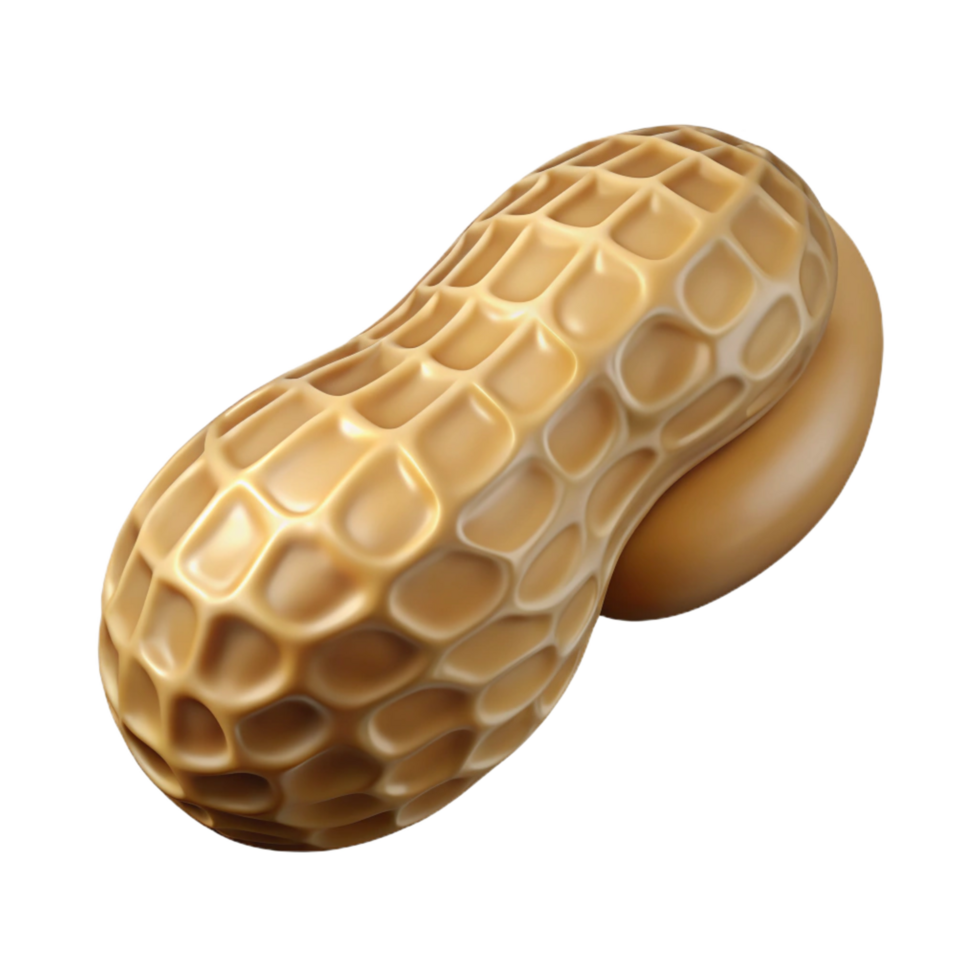 wonderful minimalist Peanut in shell NO BACKGROUND with Transparent Background. 4K png
