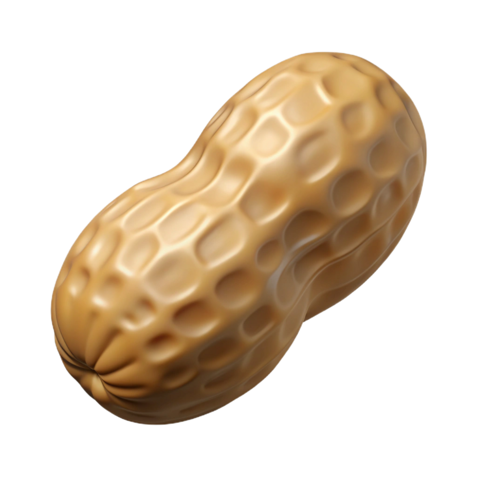remarkable mid-century Peanut, single, in shell. NO BACKGROUND with Transparent Background. professional png