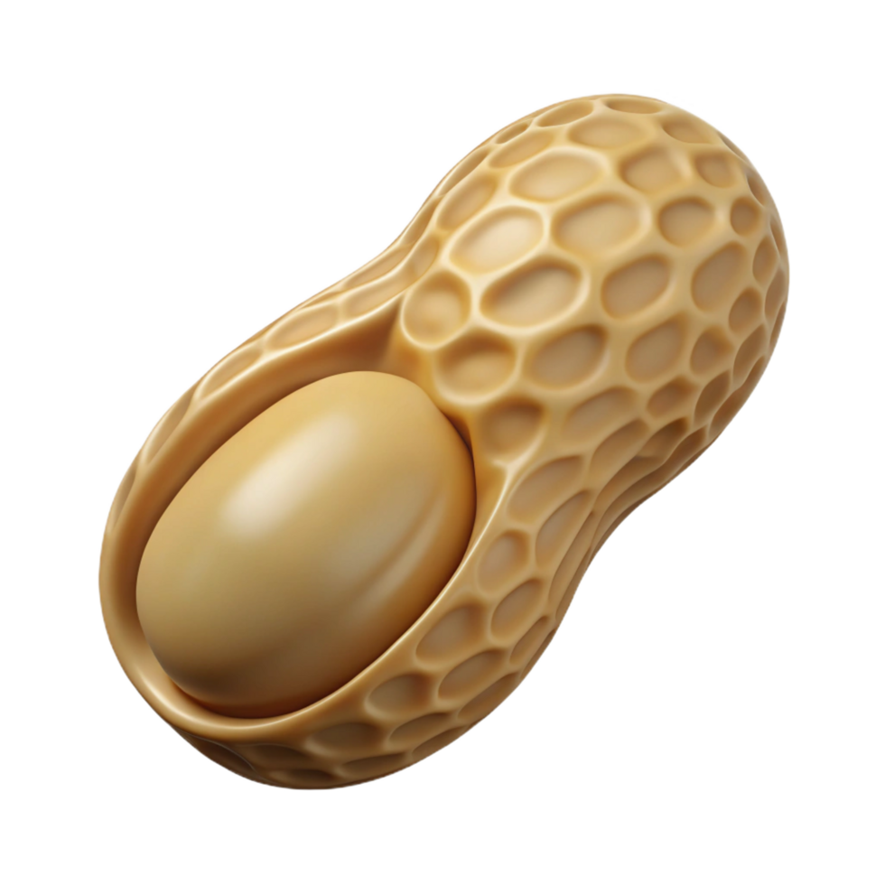 magnificent baroque Peanut, single, in shell. NO BACKGROUND with Transparent Background. premium png