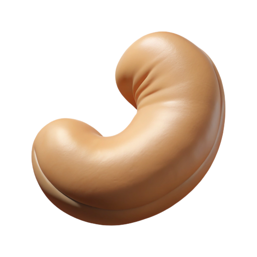 majestic elegant Cashew nut, single, roasted. NO BACKGROUND with Transparent Background. genuine png
