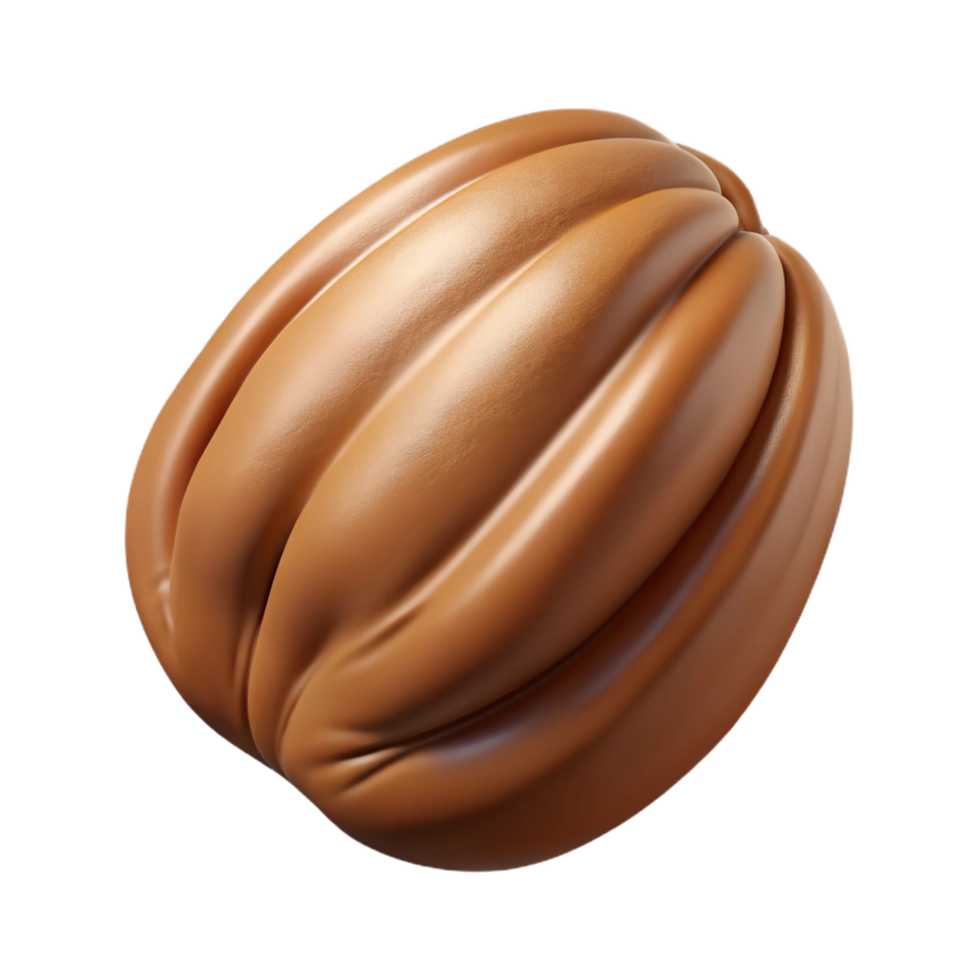 splendid quintessential Single pecan, shelled. NO BACKGROUND with Transparent Background. png