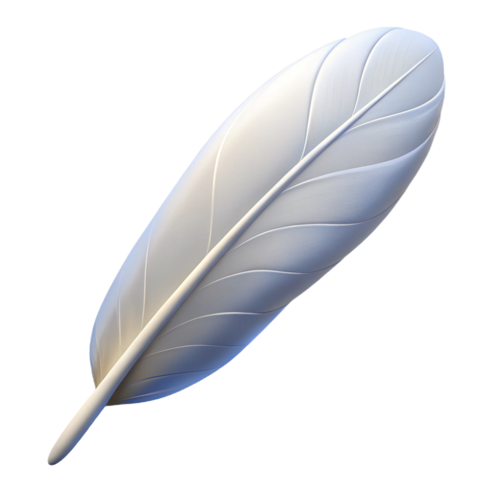 signature classic Single feather, white. NO BACKGROUND with Transparent Background. genuine png