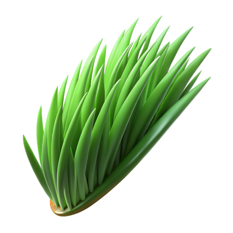 pristine notable Single blade of grass, green. NO BACKGROUND with Transparent Background. png