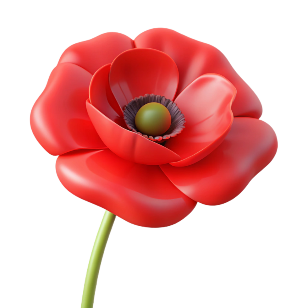 inspired rustic Single poppy flower, red. NO BACKGROUND with Transparent Background. detailed png