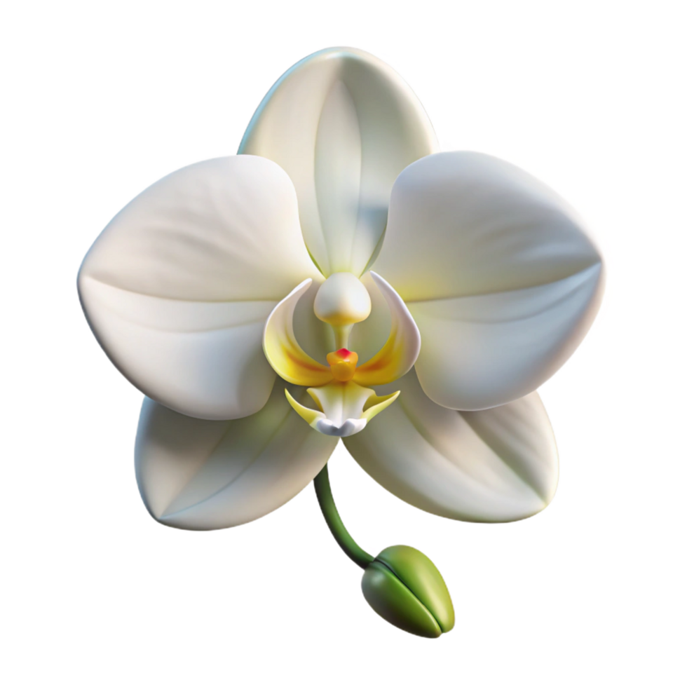 unparalleled victorian Single orchid flower, white. NO BACKGROUND with Transparent Background. high quality png