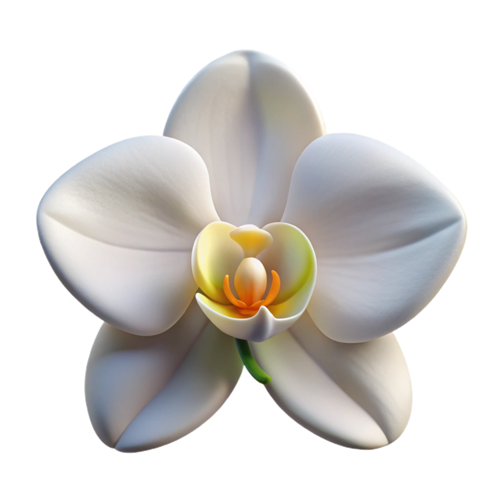 hypnotic standout Single orchid flower, white. NO BACKGROUND with Transparent Background. png