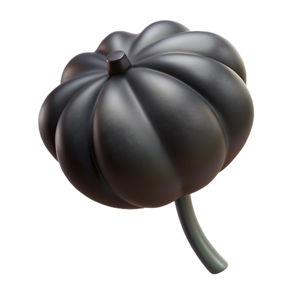 whimsical extraordinary Poppy seed, single, black. NO BACKGROUND with Transparent Background. authentic png