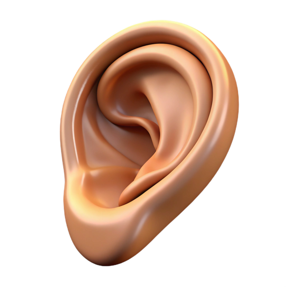 radiant dramatic urban A realistic rendering of a single human ear with pointed tip, NO BACKGROUND with Transparent Background. handcrafted png