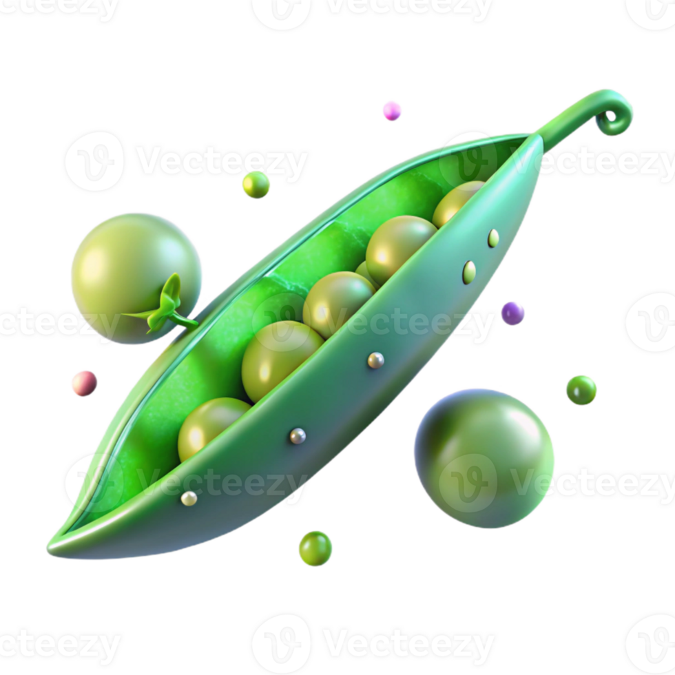 beautiful rustic Single Green Pea Pod Open Seeds Visible Transparent Background genuine png