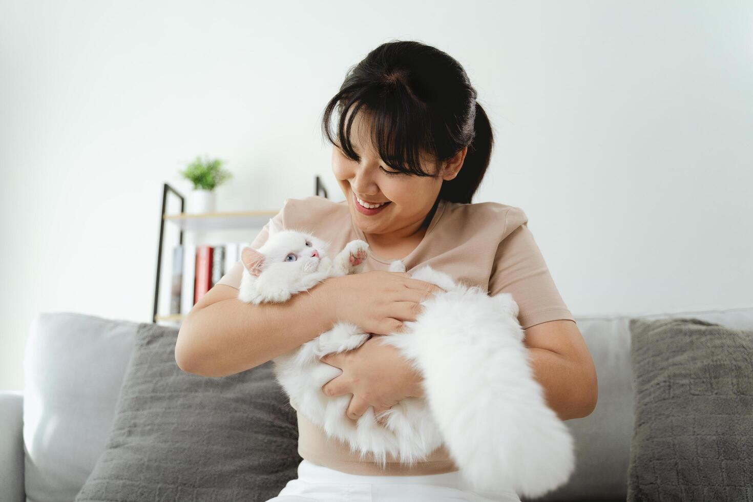 An Asian woman is spending time with her white Persian cat in the living room. photo