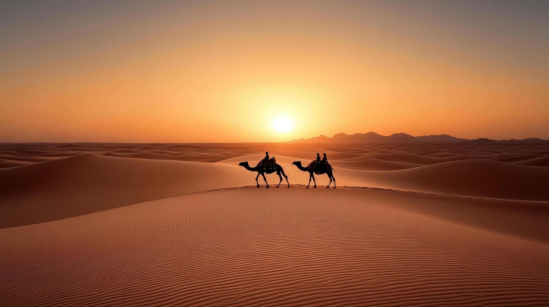 Camel caravan in the sahara desert at sunset photo