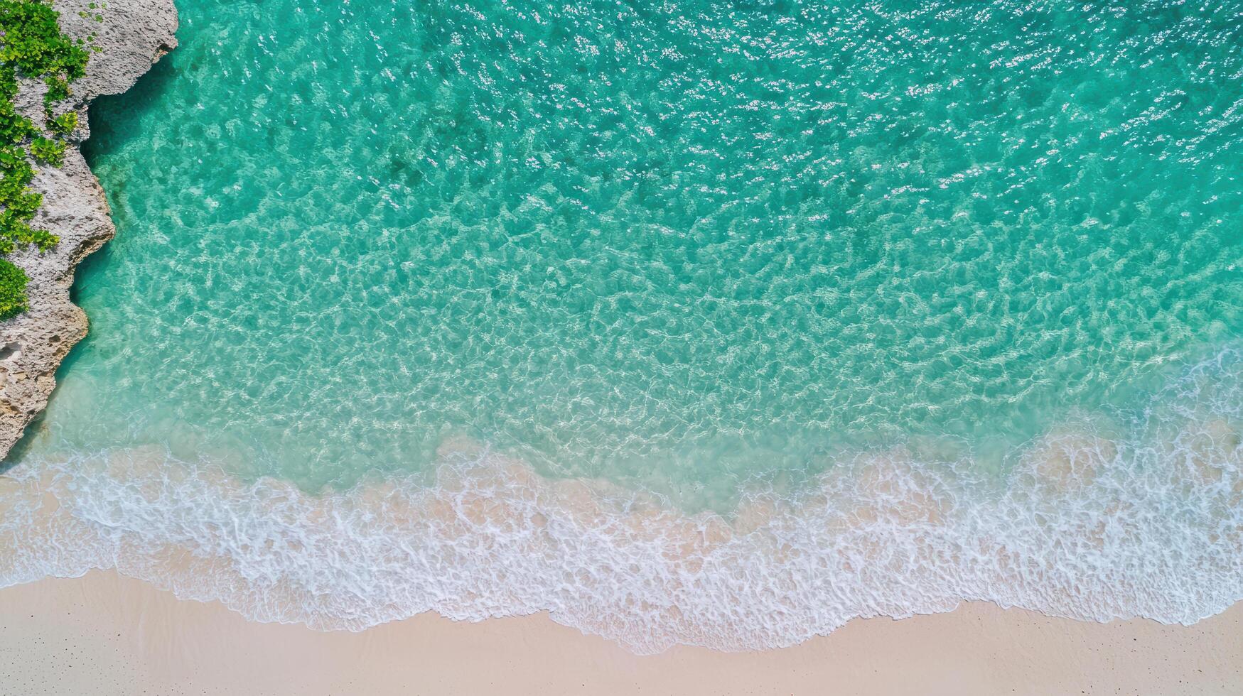 An aerial view of a beach with green grass and turquoise water photo