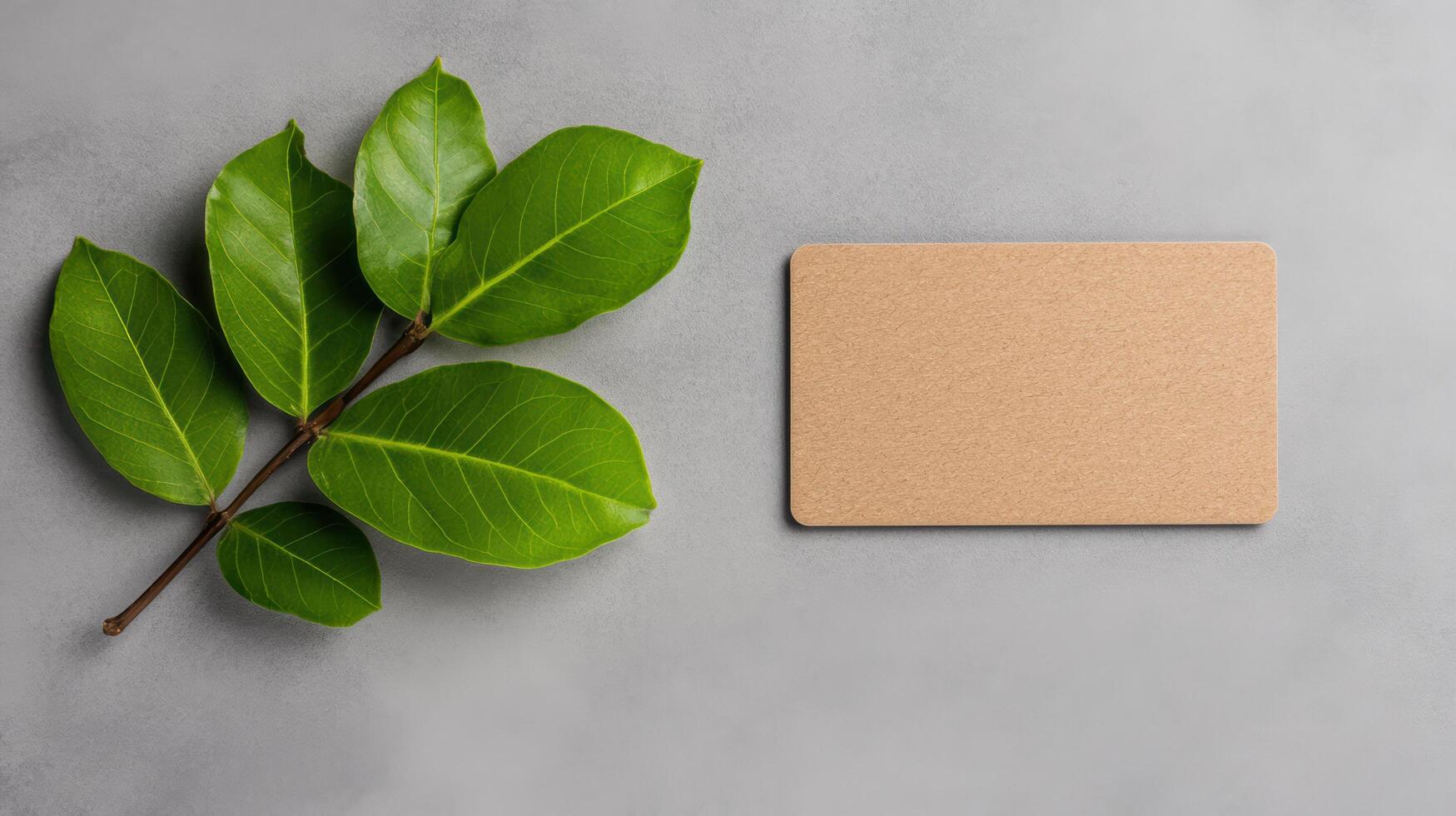 Green leaf and empty cardboard on grey background top view photo