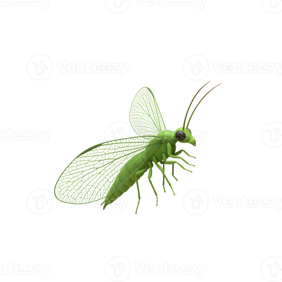 A vibrant green lacewing, exquisitely detailed, takes flight against a stark white backdrop. Its delicate, lacy wings and multifaceted eyes create a captivating, serene image. png