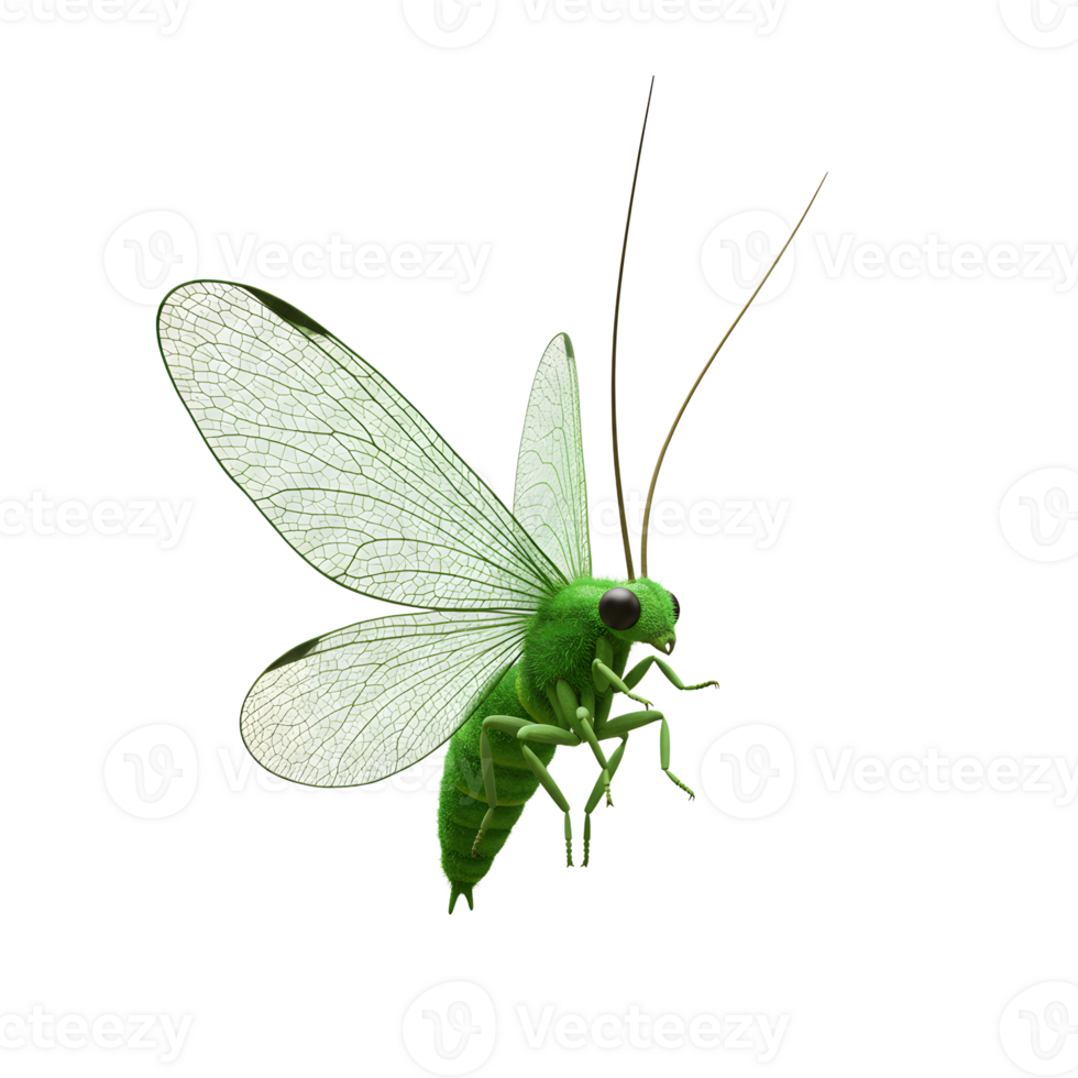 A vibrant green insect with translucent wings hovers, its fuzzy body gleaming. The scene evokes a sense of delicate beauty and quiet wonder. png