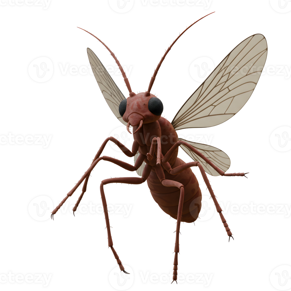 Flying Ant Insect Close-Up on White Background Perfect for Educational Uses png