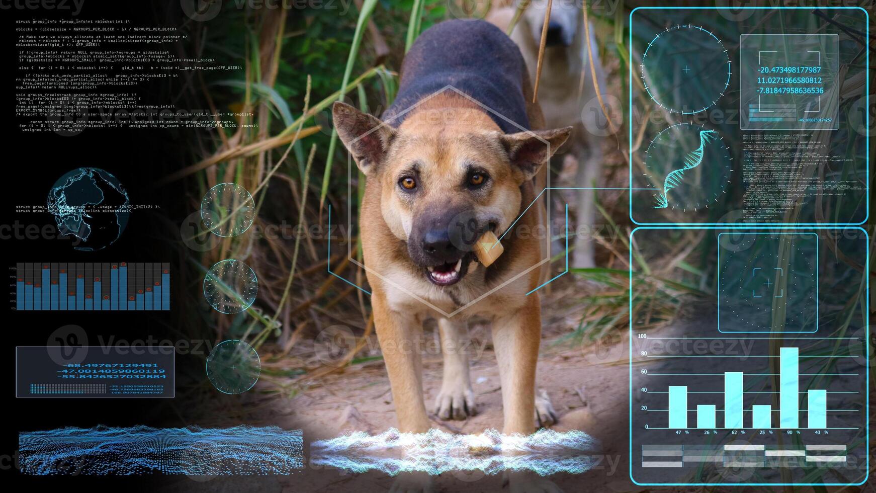 futuristic AI screen of an edible stray dog vaccine. Animation showing processing Dog receive photo