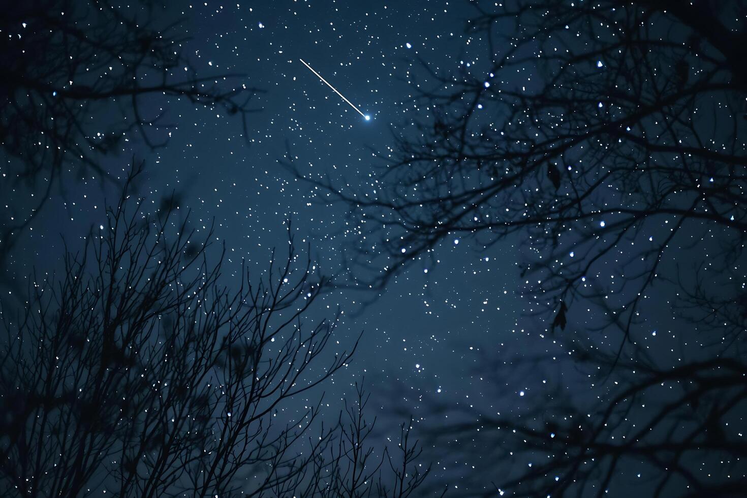 A shooting star is seen in the night sky photo